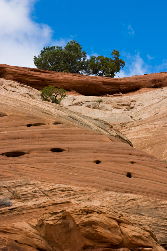 Patterns In Sandstone